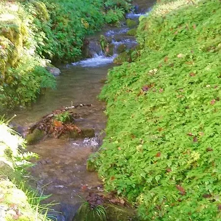 Villa Le Pidro - A Family House With Private Stream And Woodland à Castelnau-Durban Extérieur photo