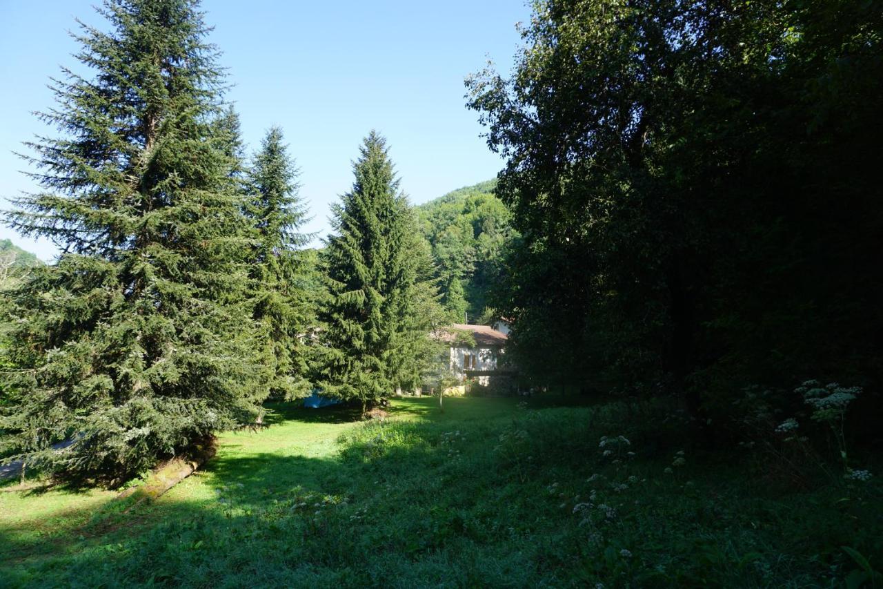 Le Pidro - A Family House With Private Stream And Woodland Holiday home *