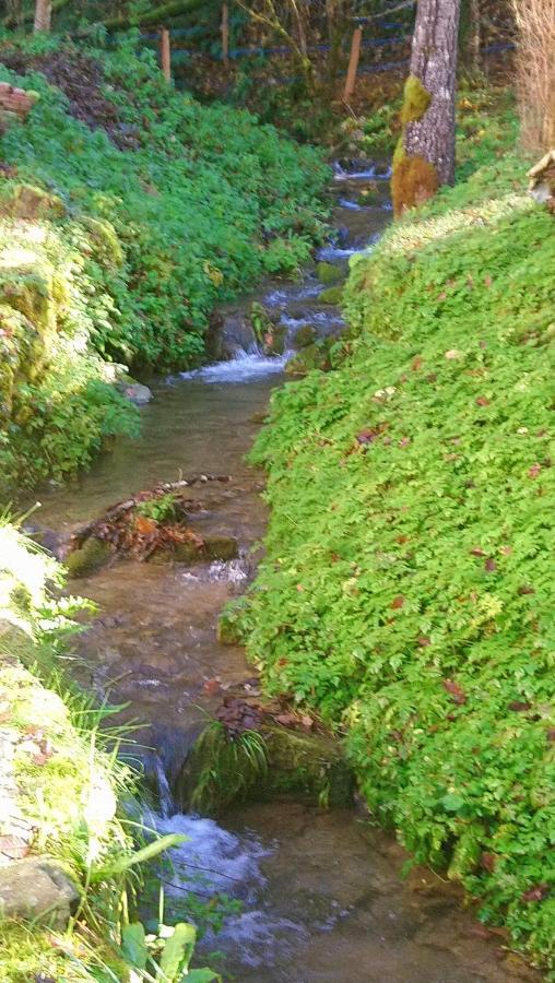 Le Pidro - A Family House With Private Stream And Woodland * Castelnau-Durban