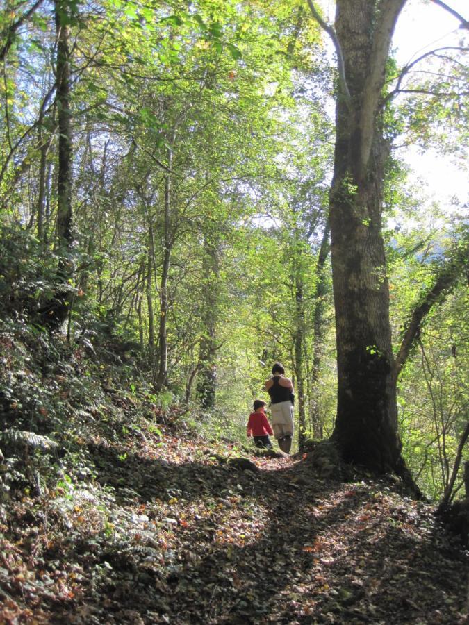 Le Pidro - A Family House With Private Stream And Woodland