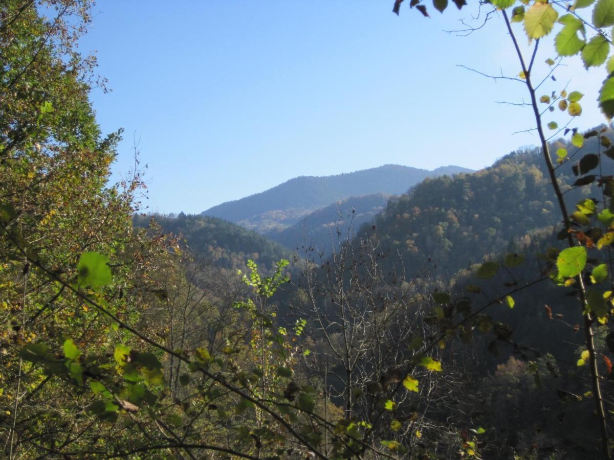 Le Pidro - A Family House With Private Stream And Woodland Holiday home *