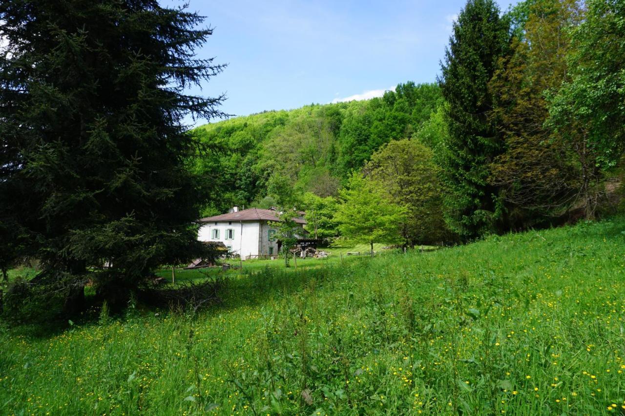 Hébergement de vacances Le Pidro - A Family House With Private Stream And Woodland *